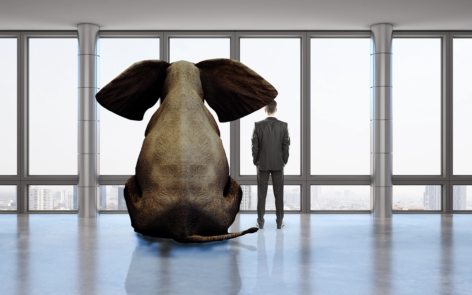 Contact Aptly Able team